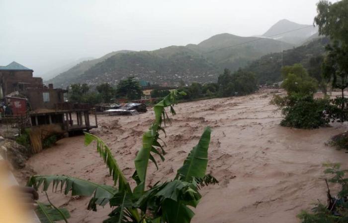 Les pluies torrentielles provoquent la mort d’humains et la destruction de champs