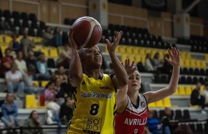 Landes Basket Des espoirs trop forts pour les Rochelaises