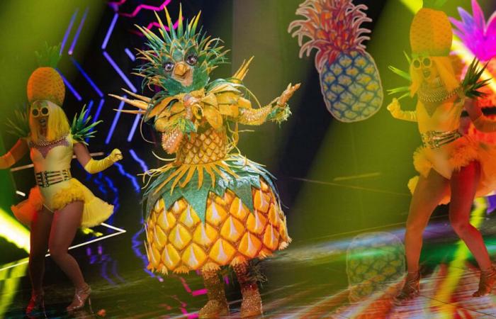 Surprise « Masked Singer » : « Lady Ananas » est une icône du cinéma