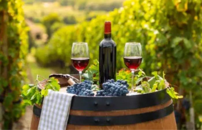 Faites-vous plaisir avec ce coffret de 6 bouteilles de vin rouge de Saint-Emilion à prix cassé chez Cdiscount