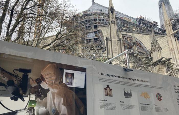 Notre-Dame de Paris aura-t-elle un jour son propre musée ?