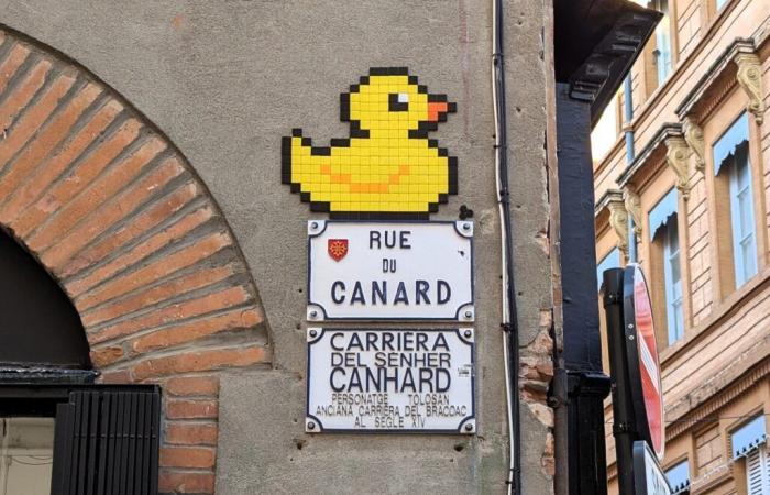 Un canard par-ci, une pintade par-là… Qui se cache derrière ces illustrations de rues toulousaines ?