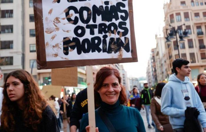 plusieurs milliers de personnes manifestent à Valence contre la gestion des inondations