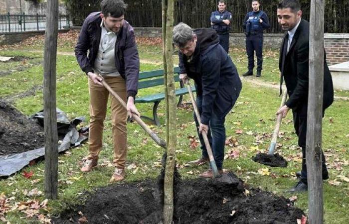 Planter l’arbre de la liberté – Le Petit Journal