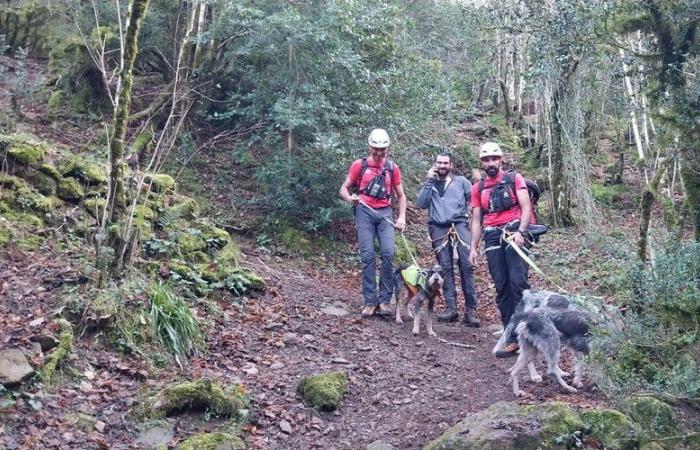 Trois chiens bloqués sur un rebord rocheux lors d’une partie de chasse secourus par les pompiers