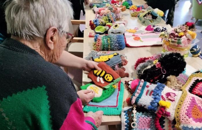 Des passionnées de tricot proposent des créations aux résidents d’un Ehpad de la Creuse pour les stimuler