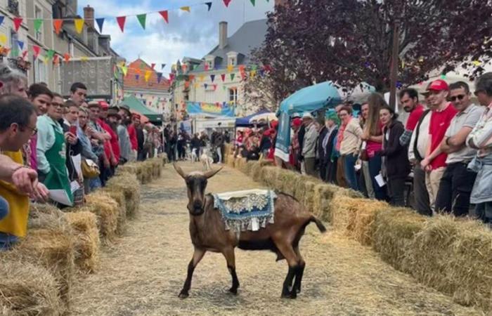 Cinéma en Indre-et-Loire. Ségolène devant les caméras de “Les Bodin partent en vrille”