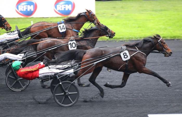 Dimanche 1er décembre à Vincennes