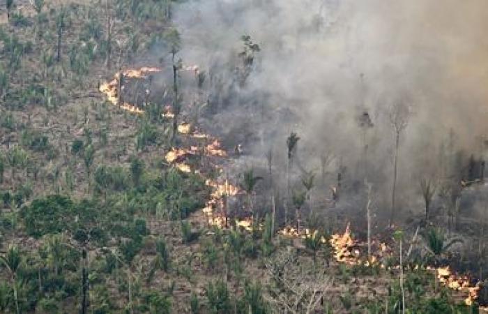 L’agriculture intensive et la déforestation conduisent la planète au « bord du précipice », selon l’ONU