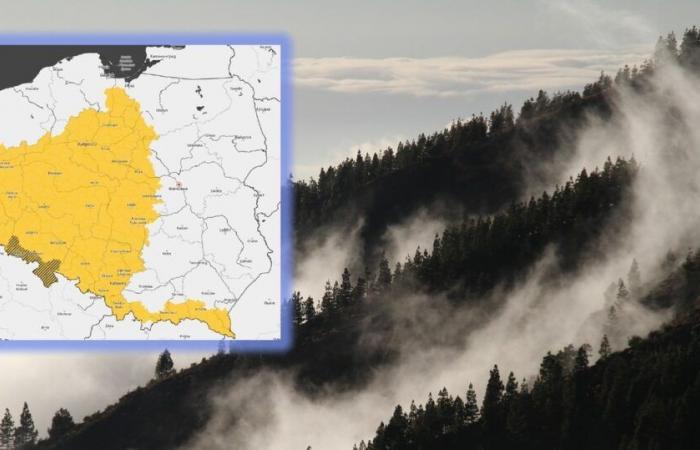 Prévisions météorologiques. IMWM met en garde contre le brouillard. La moitié de la Pologne en alerte