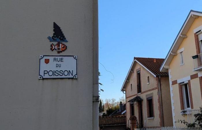 Un canard par-ci, une pintade par-là… Qui se cache derrière ces illustrations de rues toulousaines ?