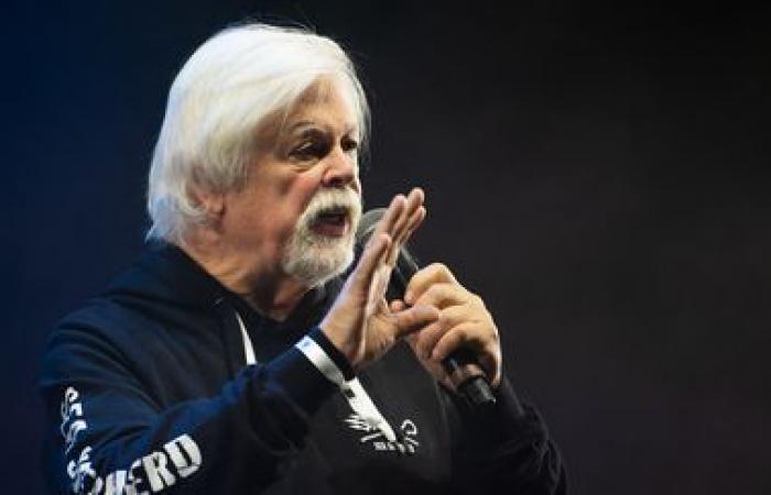 La détention du militant écologiste Paul Watson au Groenland prolongée jusqu’au 18 décembre