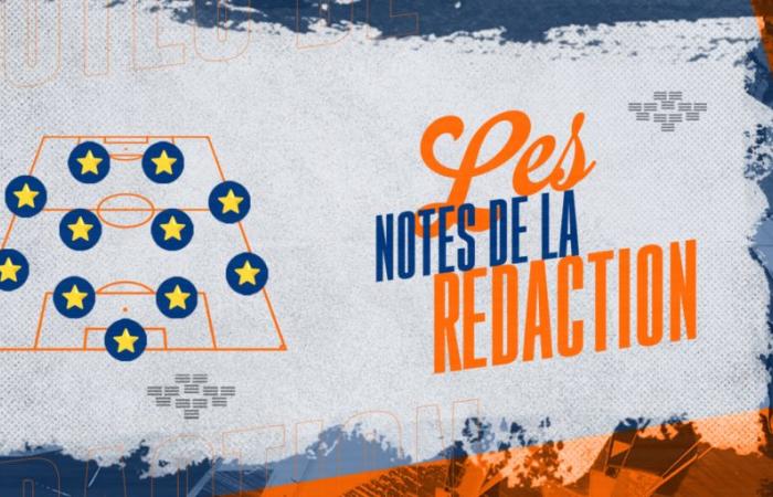 [MHSC-LOSC] Notes éditoriales individuelles