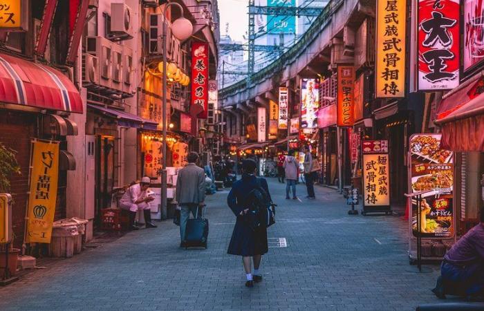 Saint-Céré. Immersion japonaise dans la médiathèque