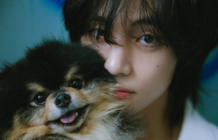 V de BTS annonce le décès de son chien Yeontan