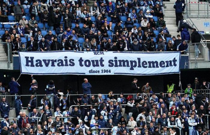 Le Havre décide d’interdire l’accès au stade à un enfant de 6 ans