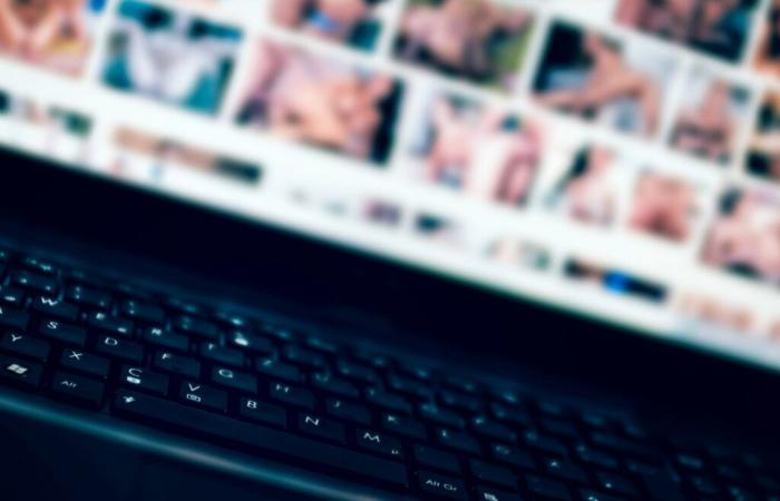 En France, le blocage des sites pornographiques tourne au fiasco