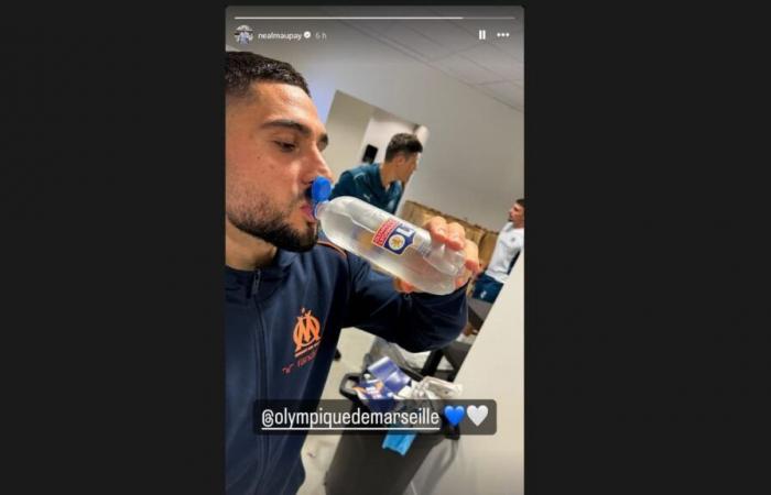 “L’OL c’est l’eau”, Neal Maupay explique sa défaite face aux Lyonnais