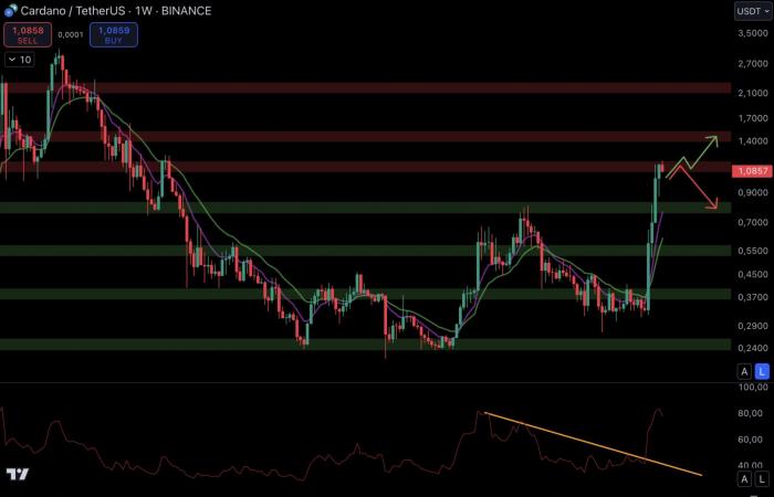 Une explosion en décembre pour les altcoins ? – Les cryptos à surveiller