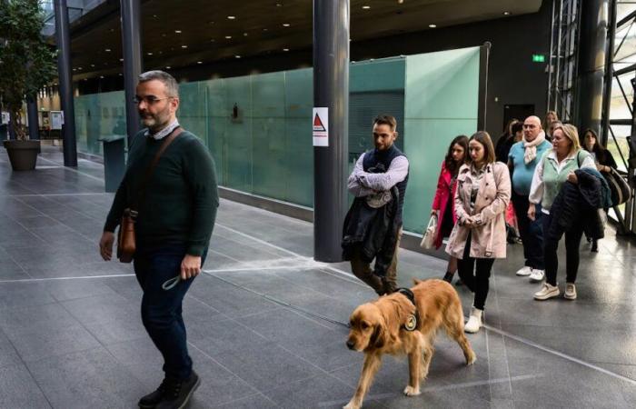 Au procès pour meurtre de Victorine, un chien fait des câlins aux victimes