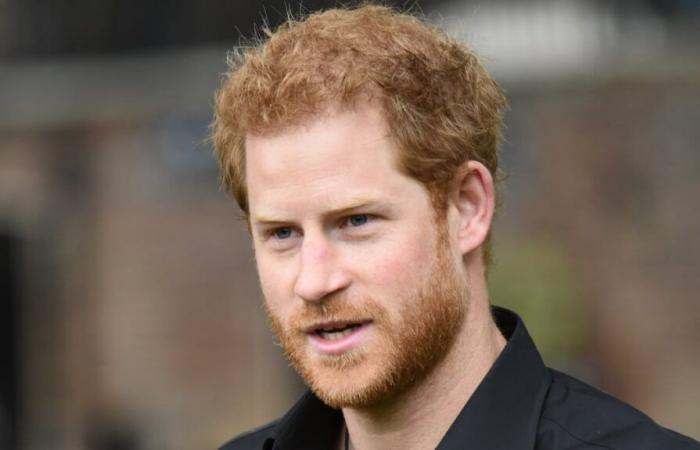 Le prince Harry se déchaîne sur un membre de sa famille