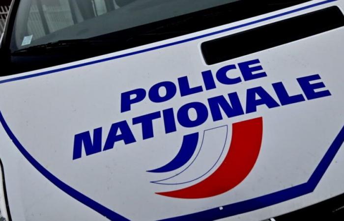 Aïn. Soupçonné de violences sur sa compagne, il s’en prend aux policiers