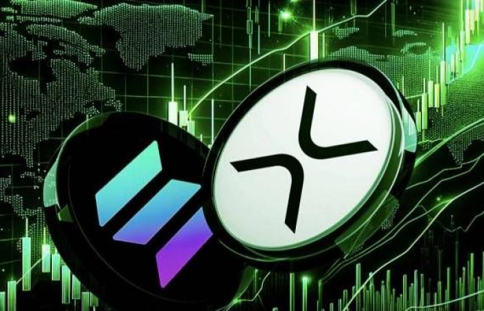 XRP dépasse Solana pour devenir la quatrième plus grande crypto-monnaie