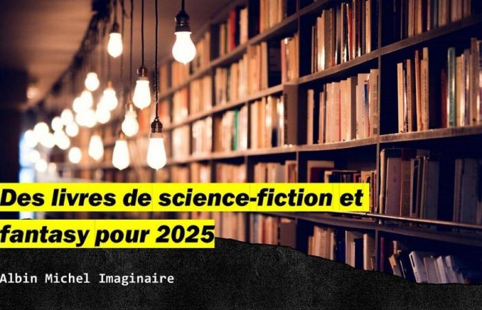 Livres de science-fiction et fantastique pour 2025 : Albin Michel Imaginaire | par Nicolas Winter