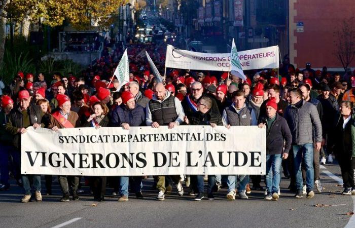 Colère des vignerons de l’Aude : et maintenant ?