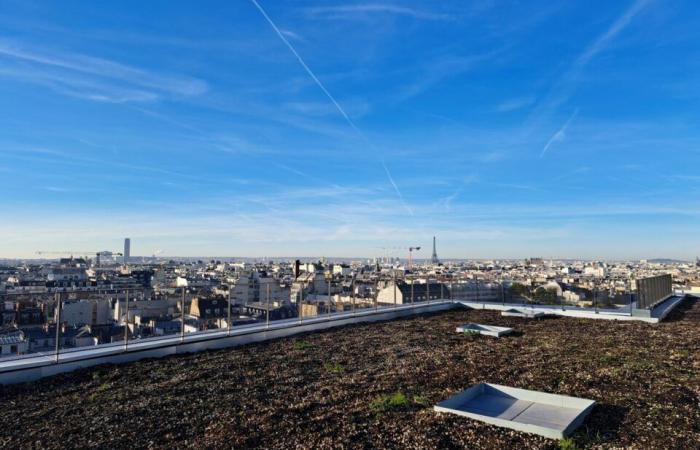 à Paris, La Poste transforme ses anciens centres de tri en lieux de vie uniques