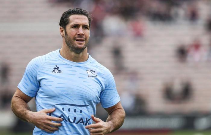 Transferts Top 14 / Pro D2 – Maxime Machenaud entre Bayonne et Brive