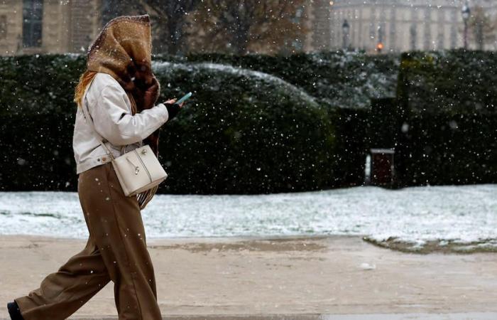 baisse des températures, neige… Une vague de froid va frapper la France ce week-end