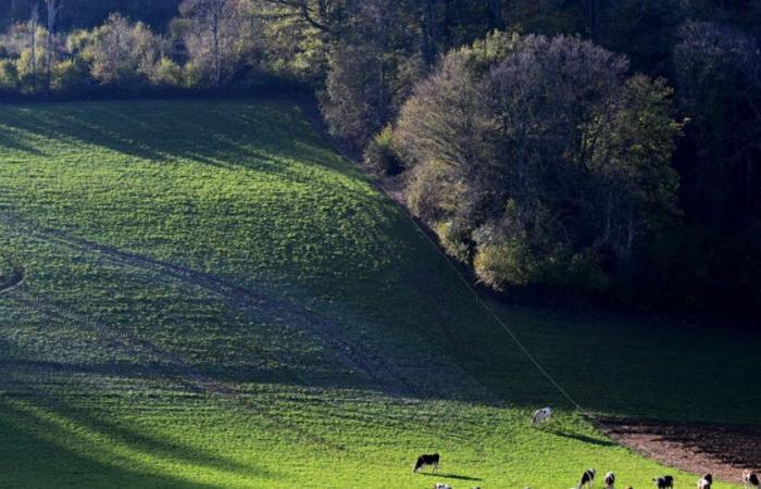 quelle planification territoriale d’ici 2045 ?