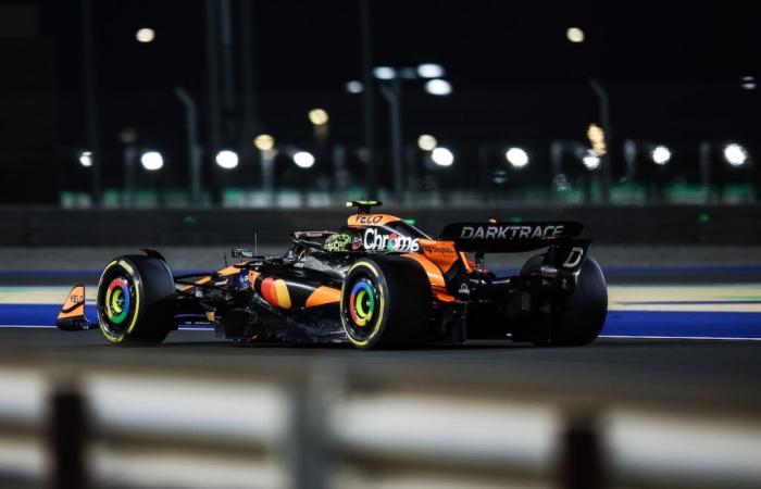 F1 – La sanction infligée à Lando Norris au Qatar était-elle trop sévère ?