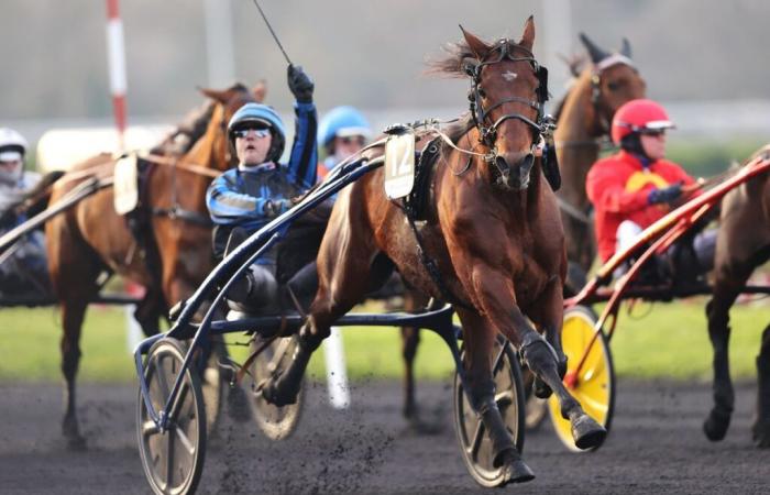 Inscription au Prix Ready Cash et Bourbonnais 2024 à Vincennes