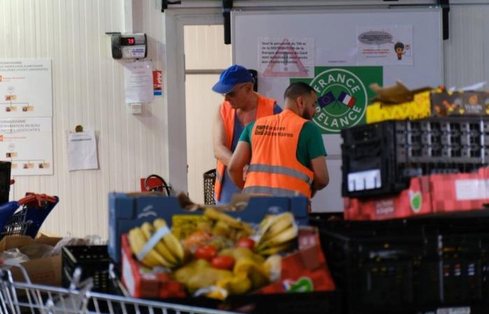 Treize intercommunales du Gard débloquent 100 000 euros pour la banque alimentaire – Actualités