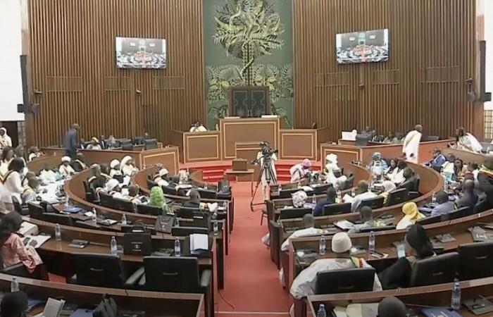 Découvrez le seul groupe parlementaire que pourrait former l’opposition sénégalaise pour la 15ème législature