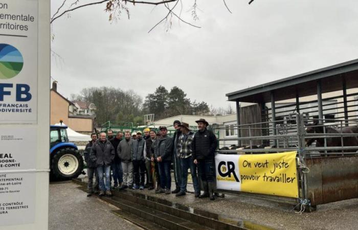 les éleveurs amènent leurs animaux à la direction territoriale départementale