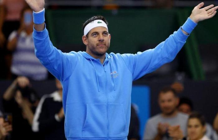 les adieux émouvants de Juan-Martin del Potro