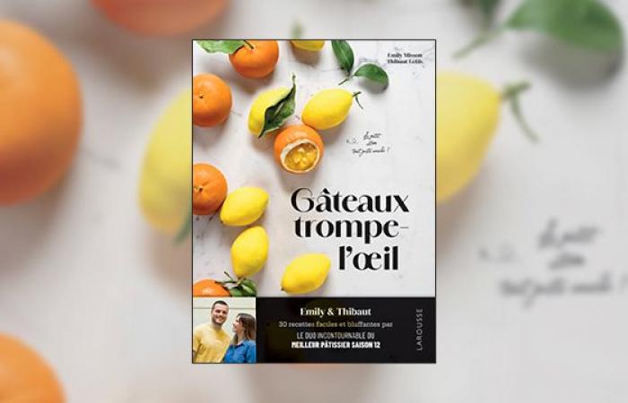 de beaux livres à offrir en cadeau cette année