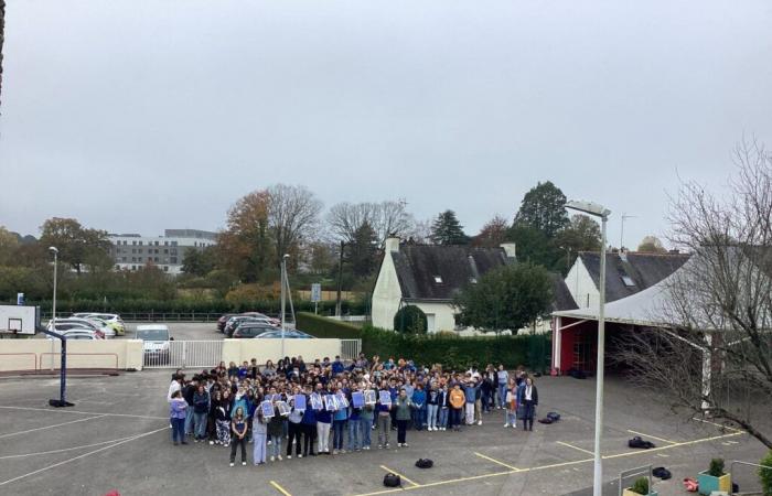 ce collège lutte de manière originale contre le harcèlement scolaire