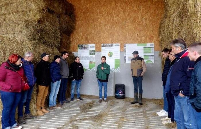 près de Cholet, le séchoir à foin fonctionne à l’énergie solaire