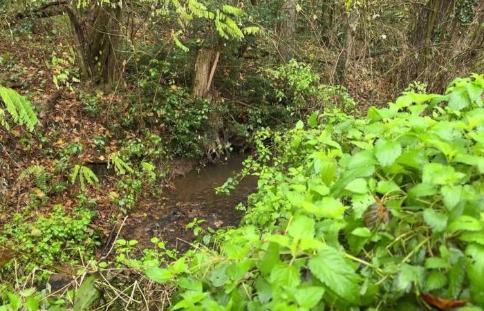 La moitié du corps découvert hier, l’autre partie retrouvée aujourd’hui enfouie dans la boue