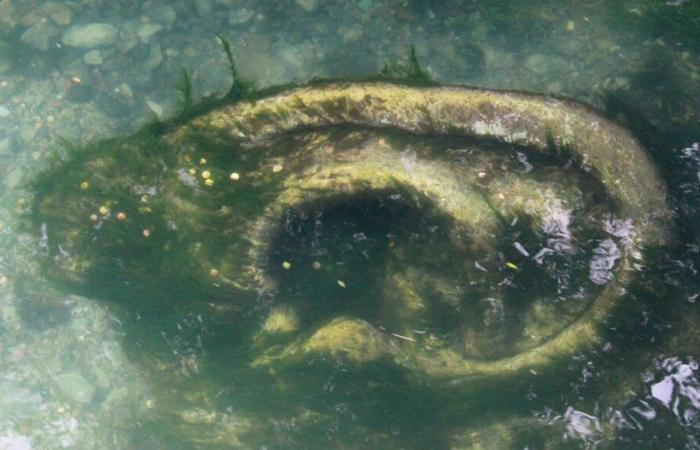 Une oreille ludique à l’Isle sur la Sorgue