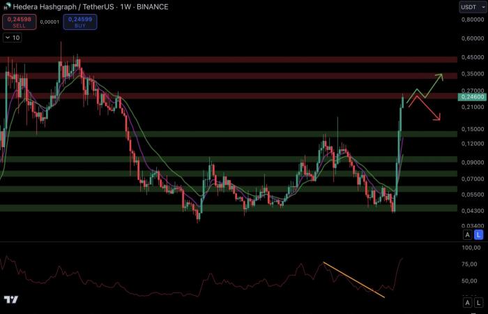 Une explosion en décembre pour les altcoins ? – Les cryptos à surveiller