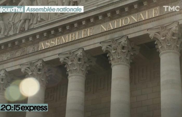 immersion au sein de l’Assemblée Nationale – Quotidien