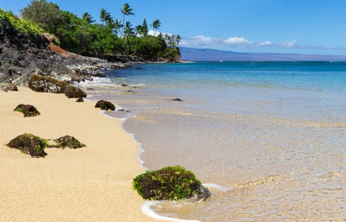 Prévisions météo à Maui pour le 2 décembre 2024 : Maui maintenant