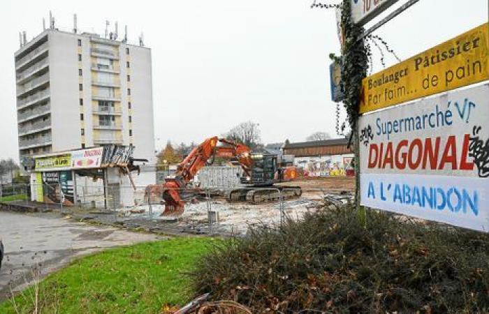 comment la vie reprend dans ce quartier « fané ».