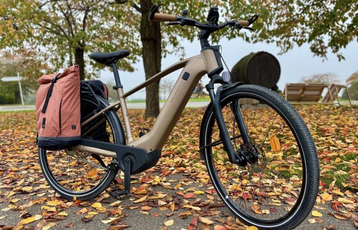 Decathlon propose un VTC électrique avec une motorisation époustouflante