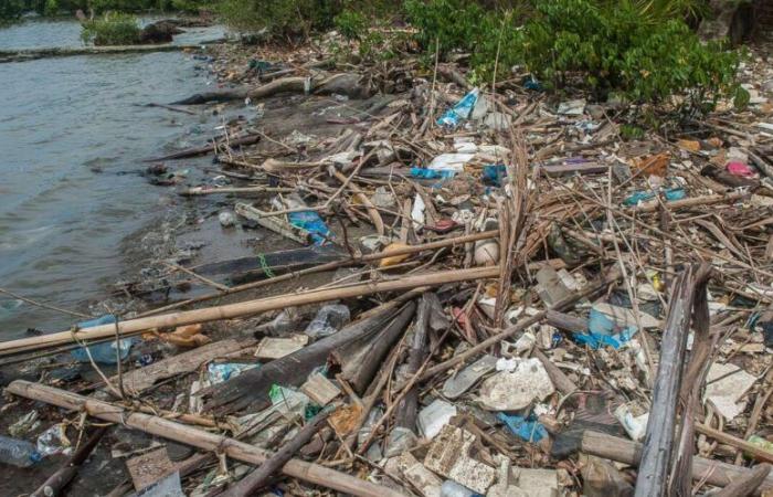 La pollution plastique a de beaux jours devant elle…